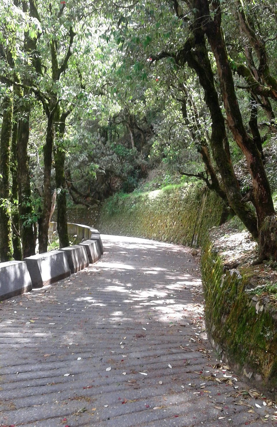 Landour walk